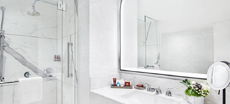 曼哈顿市中心豪华精选酒店(The Luxury Collection Hotel Manhattan Midtown)图片