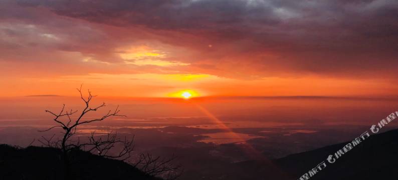 庐山杉与山青民宿(牯岭镇索道上站店)图片