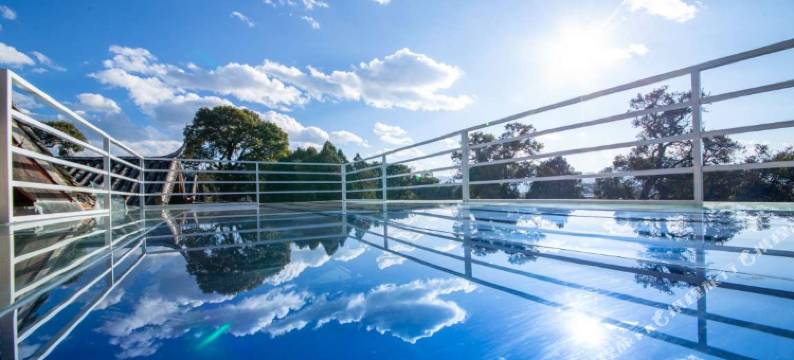 树洞里Sky Mirror star星空雪山之镜|多肉花园(丽江古城大水车店)图片