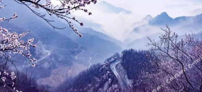 云台山浣花溪畔民宿图片