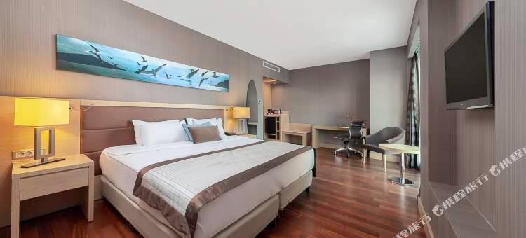德德曼博斯坦斯公园酒店(Park Dedeman Bostanci Hotel)图片