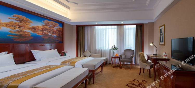 维也纳国际酒店(阿拉善店)图片