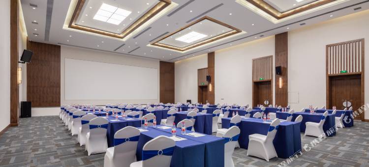 开封迪臣智选假日酒店图片