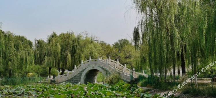 骏怡精选酒店(廊坊广阳万达广场店)图片