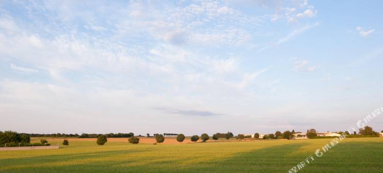 尼奥尔原创精品-拉格兰奇酒店(The Originals Boutique Hôtel la Grange Niort)图片