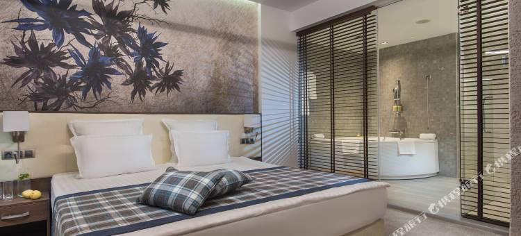 瓦尔纳迪姆亚特罗瑟琳酒店(Rosslyn Dimyat Hotel Varna)图片