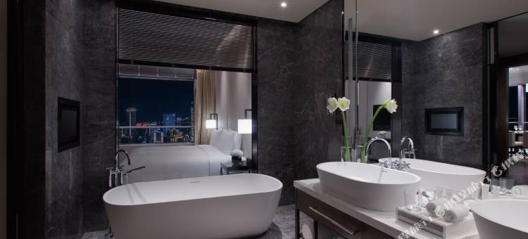 重庆尼依格罗酒店图片