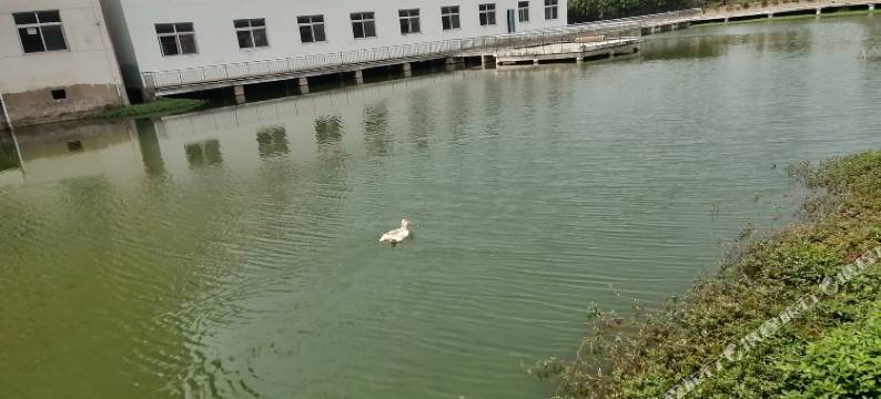 应城北冰洋宾馆图片