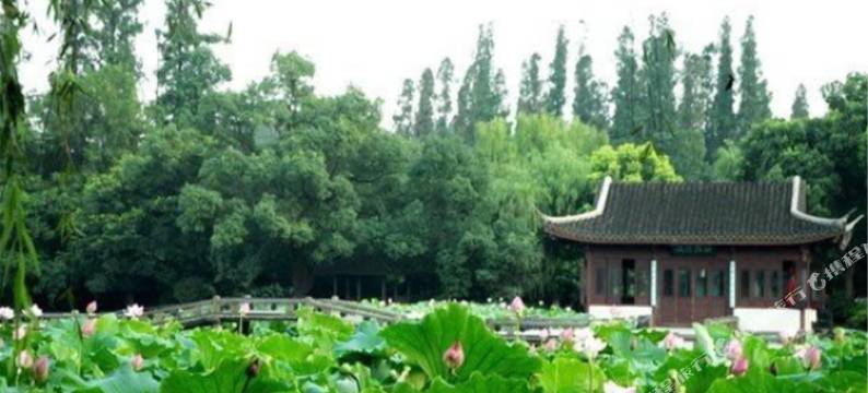 杭州一茗客栈图片