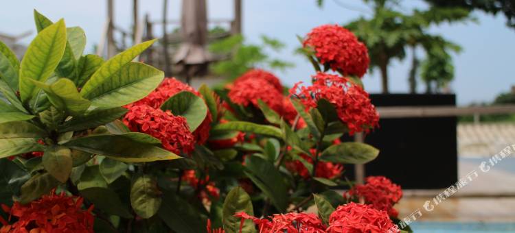 涠洲岛安格瑞拉海景民宿图片