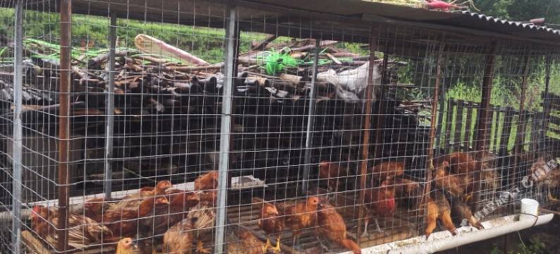 涞源仙府山庄图片