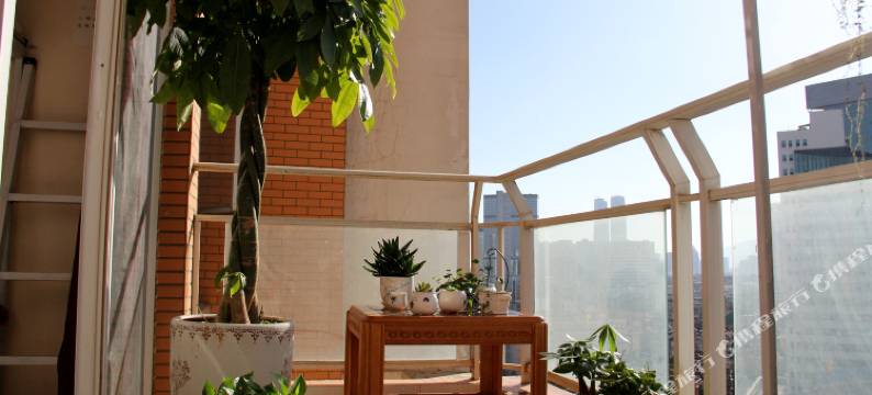 昆明流浪猫念夏火车站店图片