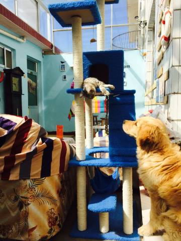 幸福里时光客栈(蓬莱欧乐堡店)