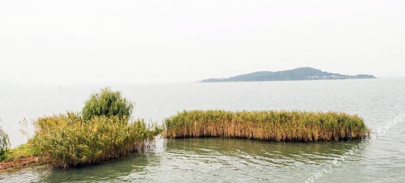 苏州碧螺湾农庄图片