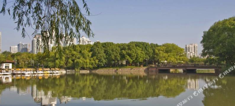 如家商旅酒店(上海陆家嘴东方明珠浦城路店)图片