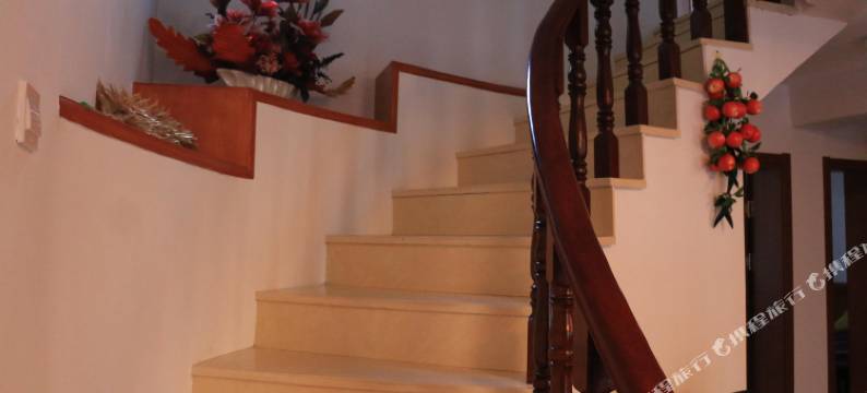 朱家尖嵊州小院图片