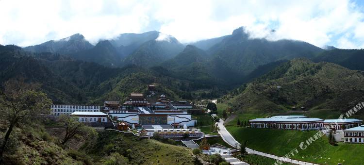 贺兰山森林公园游客服务中心图片