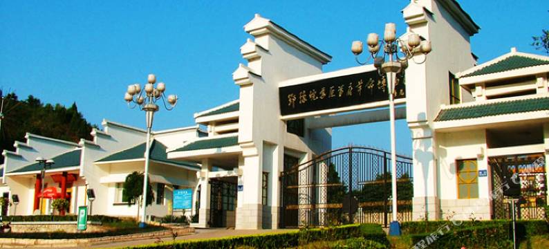 新县华逸宾馆图片