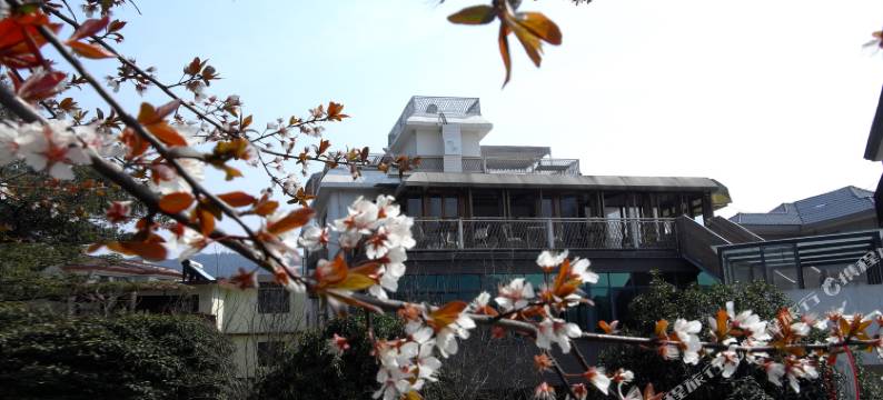 杭州白描艺术酒店图片