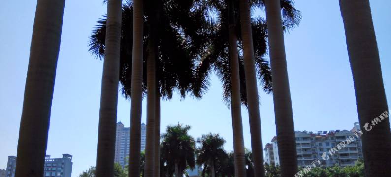 梧州蒲公英青年旅舍图片