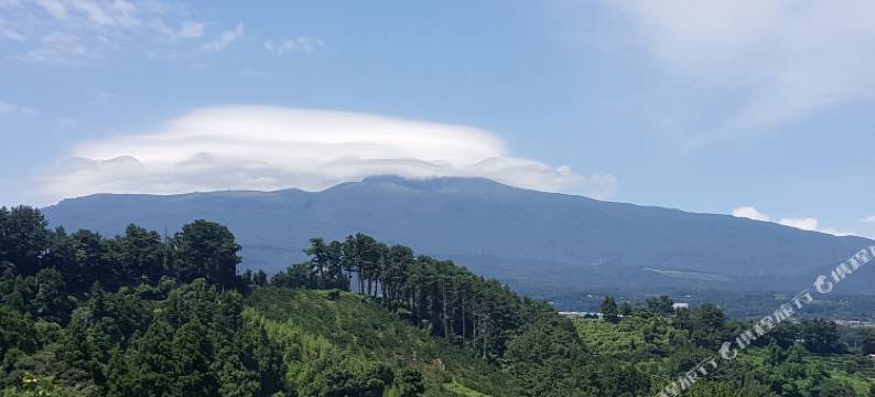 梦幻森林旅馆(Dreaming Forest Pension Seogwipo)图片