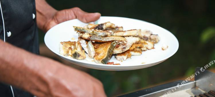 奥加里奇酒店(Yala Oga Reach Hotel)图片