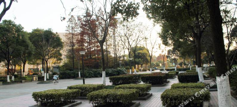 上海金桥复式超大公寓图片