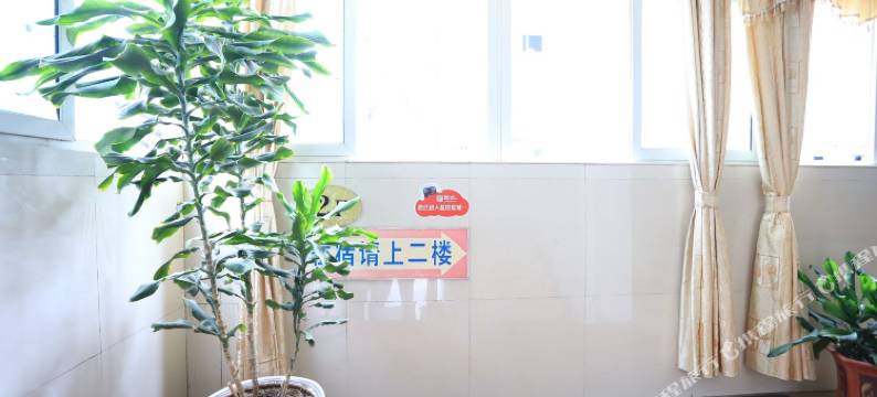 深圳叶子旅馆图片