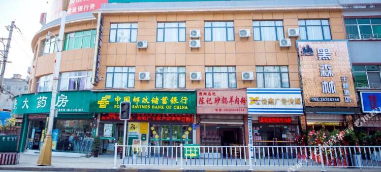 普定黑森林主题酒店图片