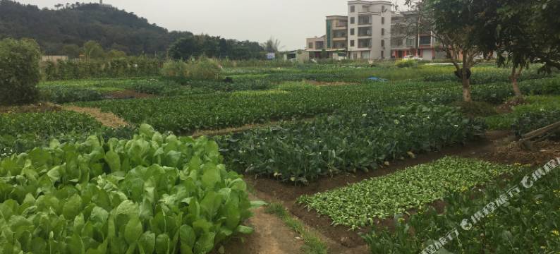 揭阳聚福楼酒店图片