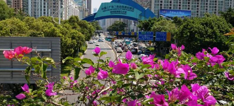 美高花园服务公寓(深圳南海大道店)图片