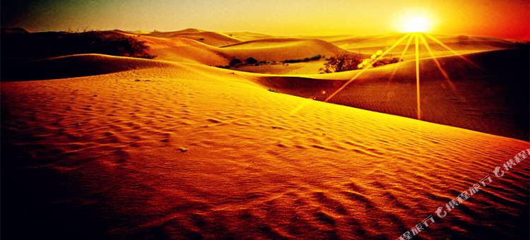 敦煌沙哩哇沙漠露营基地图片