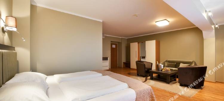 里加贝尔维尤公园酒店(Bellevue Park Hotel Riga with Free Parking)图片