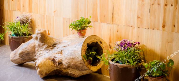 龙胜境悦度假酒店(七星伴月观景台店)图片