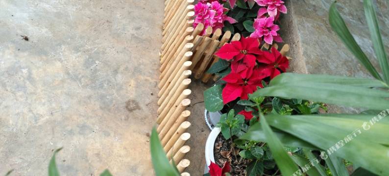 普者黑神韵阁客栈图片