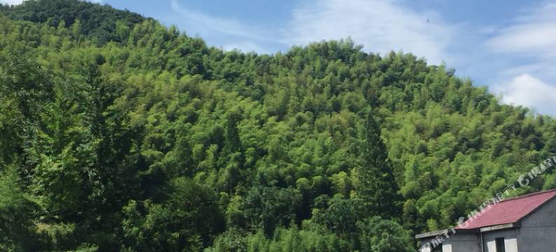 诸暨泄源张光农家乐图片