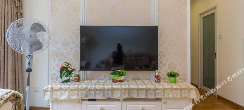 成都爱的住巢普通公寓图片