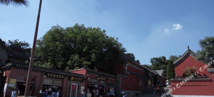泰安乾元客栈(泰山红门店)图片