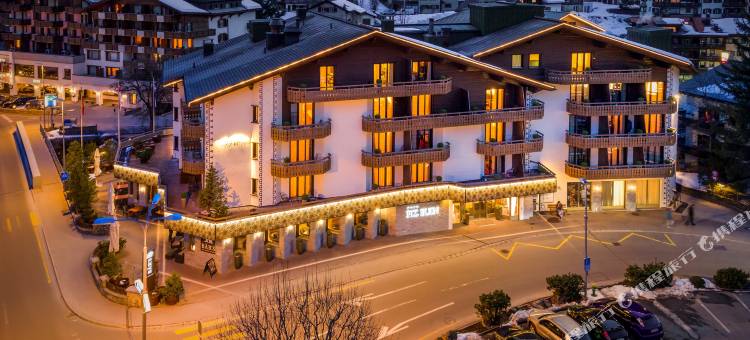 皮兹布因酒店(Hotel Piz Buin Klosters)图片