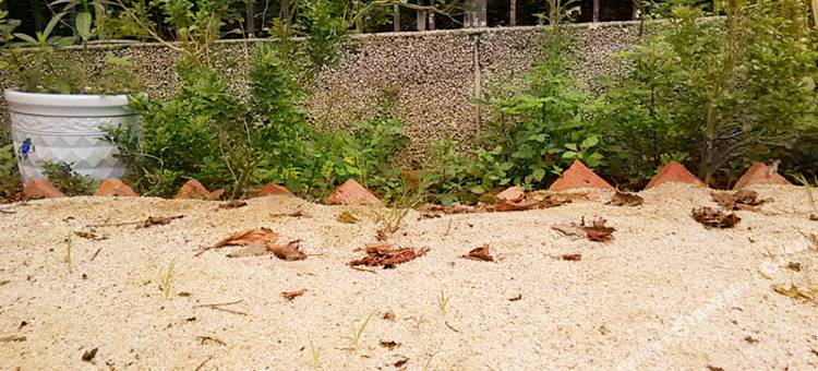 北海银滩冲浪俱乐部青年旅舍图片