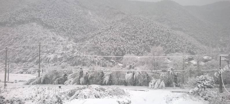 莫干山清林·闲庭山庄图片