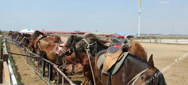 张北快乐驿站图片