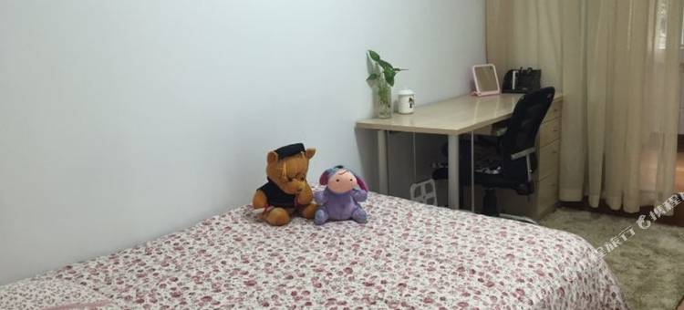 孖の部屋普通公寓(西安振兴路店)图片