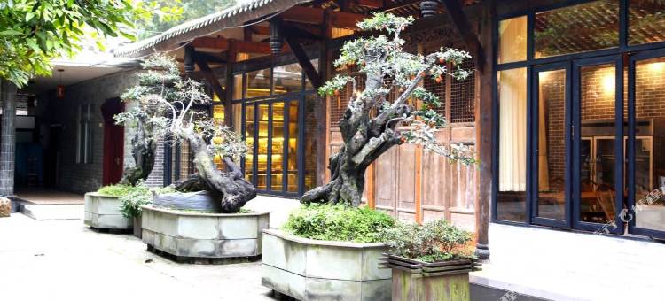 成都王晓阳客栈图片