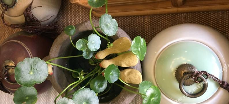 重庆趣窝民宿图片