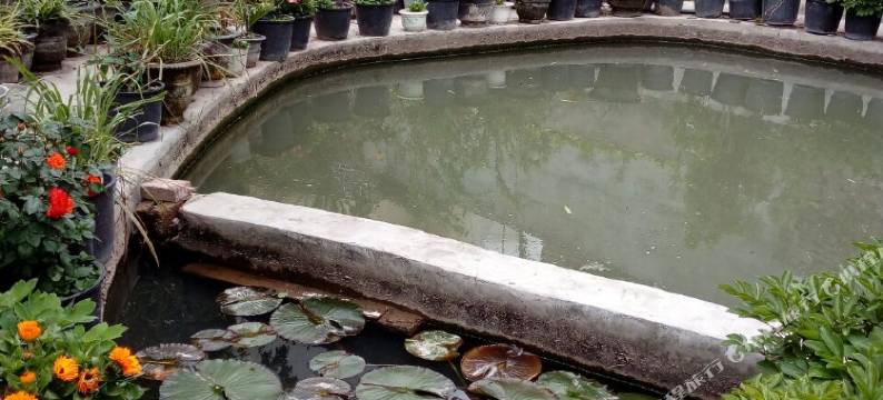 汉源花果缘农舍图片