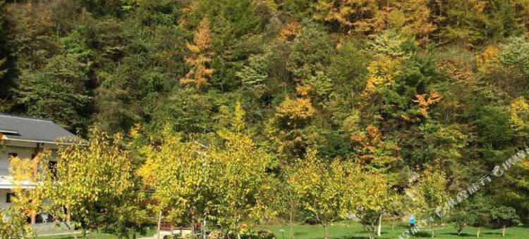 凤栖城市酒店(广元高铁站摩尔天成店)图片