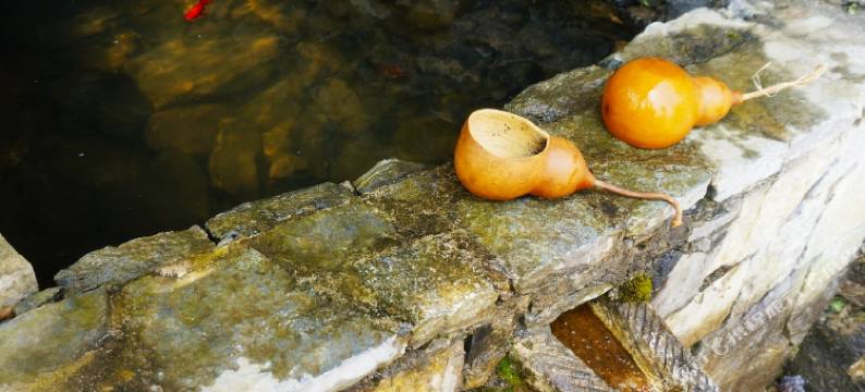 元阳哈尼梯田安怡小栈图片