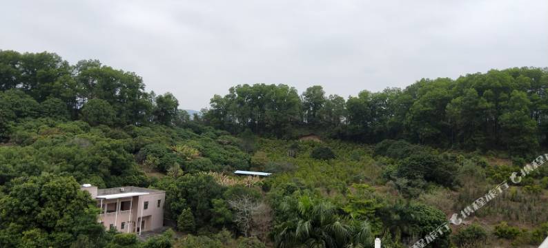 广州温先森特色民宿图片