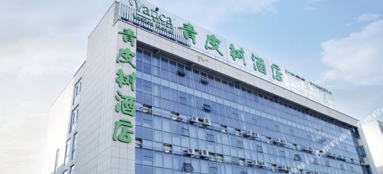 青皮树酒店(睢宁东环岛汽车东站酒店)图片